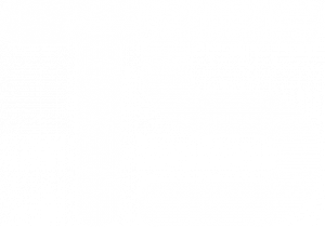 logo white icon@2x